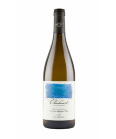 LA CALCINARA CLOCHARD MARCHE BIANCO 2023