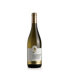 SANTA LUCIA VERDICCHIO PELLEGRINO 2022