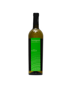 BORGOPAGLIANETTO TERRAVIGNATA 2023