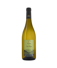 PIEVALTA TRERIPE VERDICCHIO JESISUP.2023