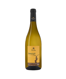 PIEVALTA DOMINÈ VERDICCHIO JESI SUP.2021